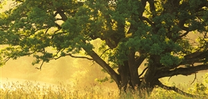 Photo by Visit Latvia